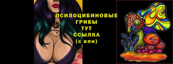 круглые Заволжск
