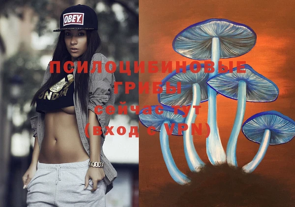хмурый Заволжье