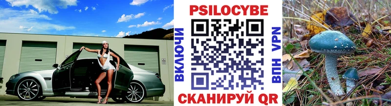 Купить  Карасук  Галлюциногенные грибы Magic Shrooms 